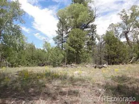 27 Pine Valley Loop, Mosca, CO 81146 photo 1