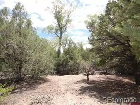 27 Pine Valley Loop, Mosca, CO 81146 photo 4