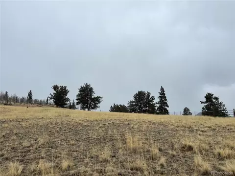 2189 Buffalo Ridge Rd, Como, CO 80432 photo 4