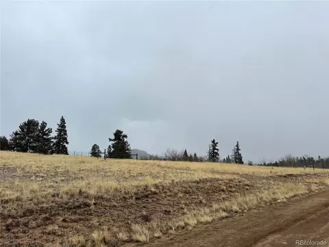 2189 Buffalo Ridge Rd, Como, CO 80432 photo 6