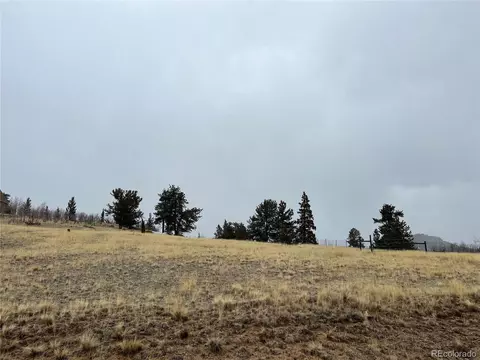 2189 Buffalo Ridge Rd, Como, CO 80432 photo 5