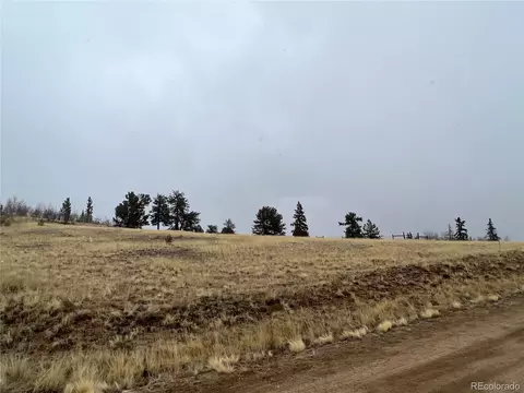 2189 Buffalo Ridge Rd, Como, CO 80432 photo 8