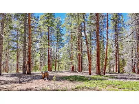 Undisclosed, Leadville, CO 80461