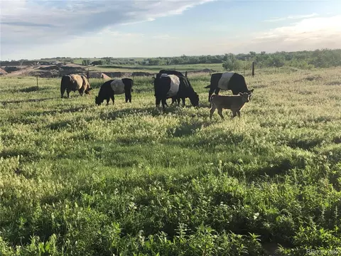 50180 E 64 Ave, Bennett, CO 80102 photo 5