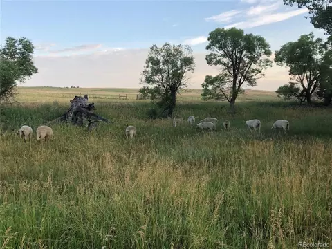 50180 E 64 Ave, Bennett, CO 80102 photo 36