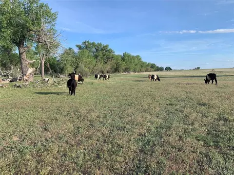 50180 E 64 Ave, Bennett, CO 80102 photo 29