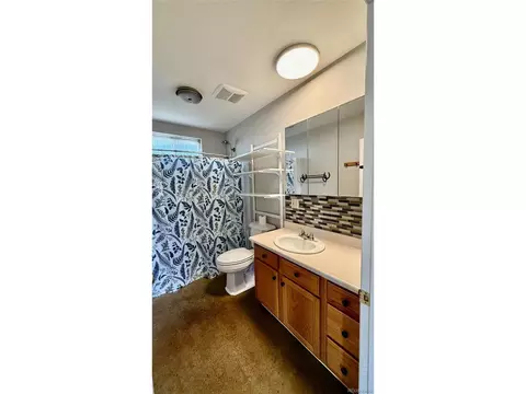 445 County Road 660, Rye, CO 81069 photo 23