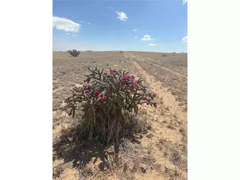 10 Cuerno Verde Rnch, Walsenburg, CO 81089