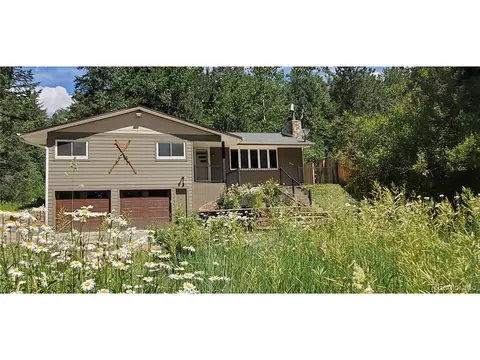 993 Fall River Rd, Idaho Springs, CO 80452