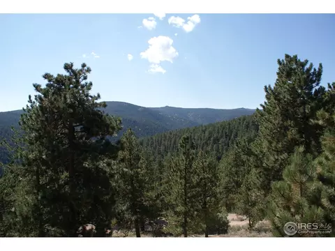 20361 S Saint Vrain Dr, Lyons, CO 80540 photo 23