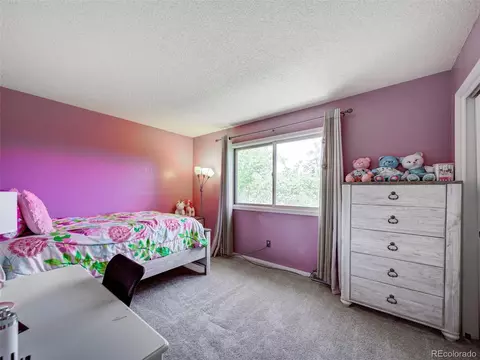 10092 Elizabeth St, Thornton, CO 80229 photo 17