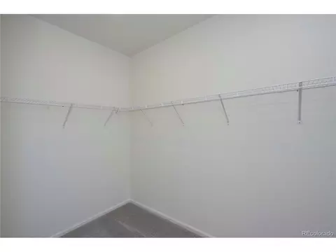3352 Switchgrass St, Dacono, CO 80514 photo 18