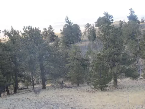 672 Pine Ln, Hartsel, CO 80449 photo 4