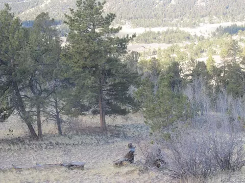 672 Pine Ln, Hartsel, CO 80449 photo 7