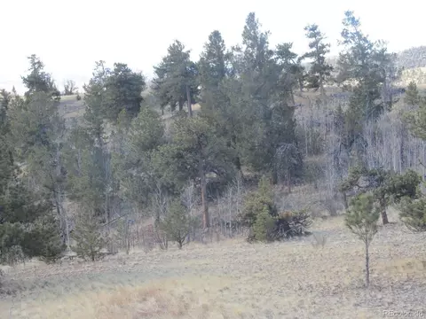 672 Pine Ln, Hartsel, CO 80449 photo 6