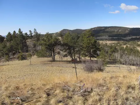 672 Pine Ln, Hartsel, CO 80449 photo 1