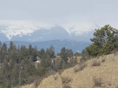 672 Pine Ln, Hartsel, CO 80449 photo 5