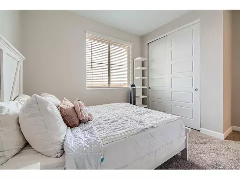 18109 E 96th Ave, Commerce City, CO 80022 photo 22