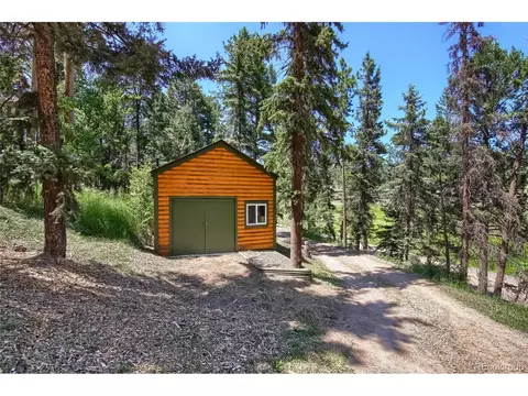 28339 Pine Trl, Conifer, CO 80433 photo 38