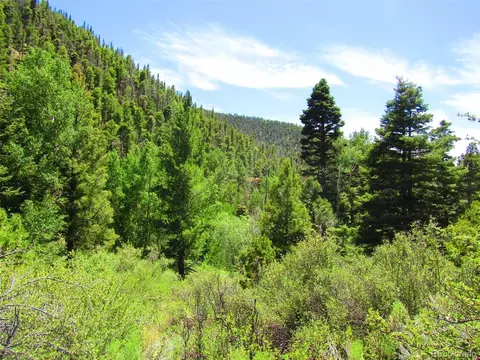 5526 Joy Rd, Fort Garland, CO 81133