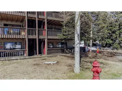 244 Lodgepole St #16, Dillon, CO 80435 photo 33