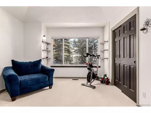 Other - 308 Red Hawk Cir, Silverthorne, CO 80498 photo 3 of 6