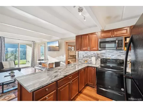 220 E La Bonte St #3, Dillon, CO 80435 photo 4