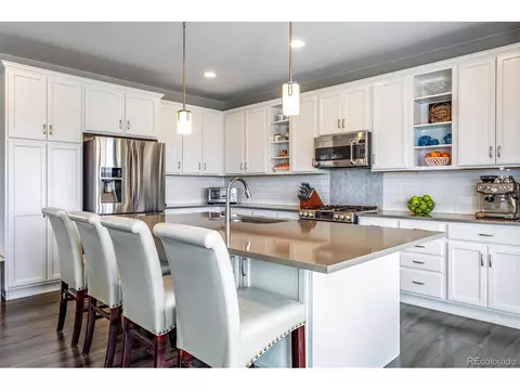 13916 Box Turtle Loop, Parker, CO 80134 photo 12