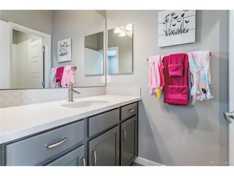 13916 Box Turtle Loop, Parker, CO 80134 photo 20