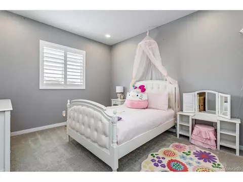 13916 Box Turtle Loop, Parker, CO 80134 photo 19