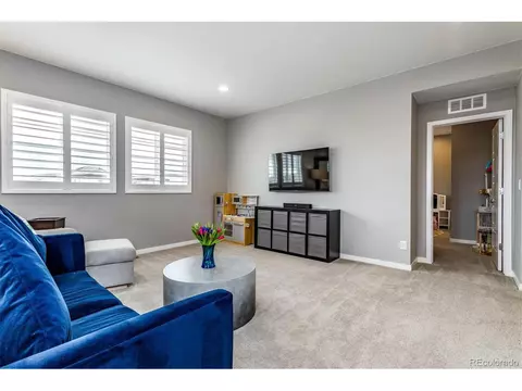 13916 Box Turtle Loop, Parker, CO 80134 photo 18