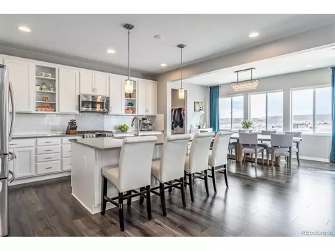 13916 Box Turtle Loop, Parker, CO 80134 photo 11