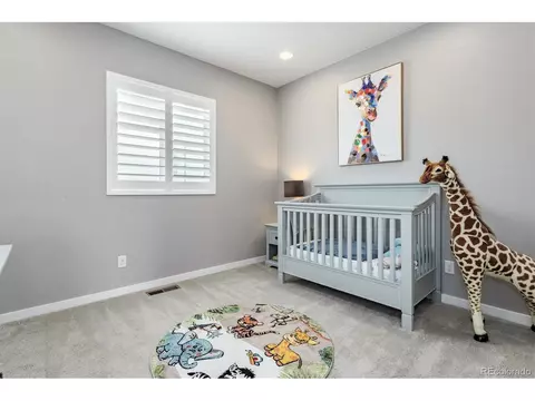 13916 Box Turtle Loop, Parker, CO 80134 photo 22