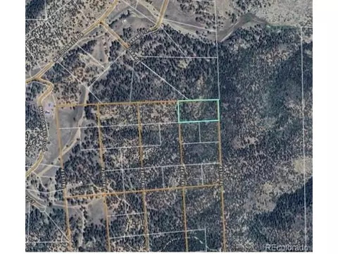 1 G Path, Cotopaxi, CO 81223 photo 6
