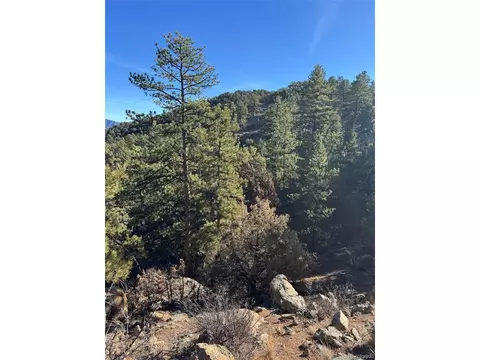 1 G Path, Cotopaxi, CO 81223 photo 2