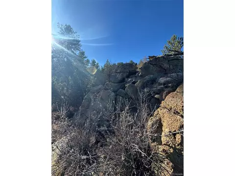 1 G Path, Cotopaxi, CO 81223 photo 4