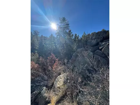 1 G Path, Cotopaxi, CO 81223 photo 5