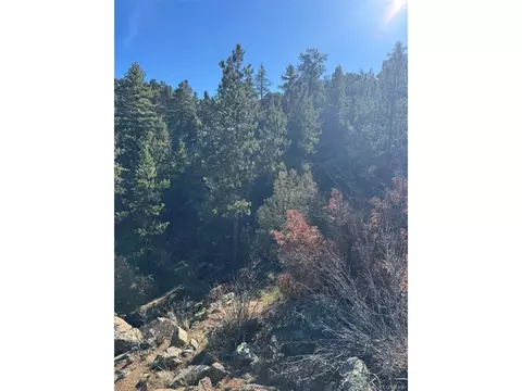 1 G Path, Cotopaxi, CO 81223