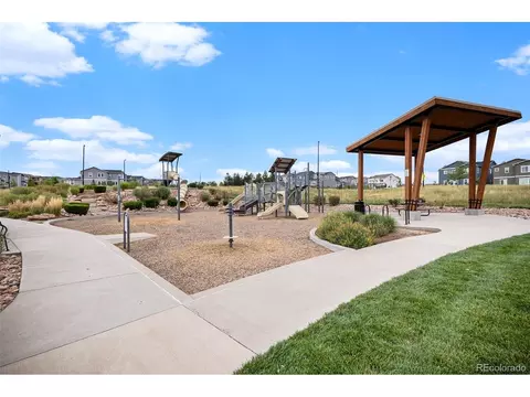 1114 Basalt Ridge Loop, Castle Rock, CO 80108 photo 45
