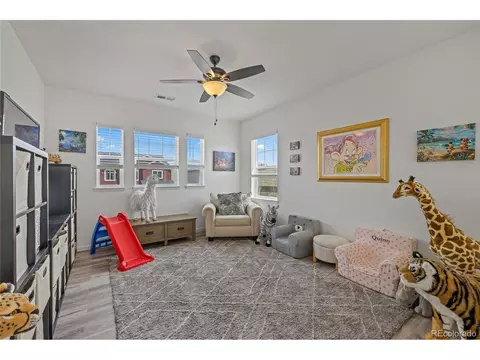 1114 Basalt Ridge Loop, Castle Rock, CO 80108 photo 17