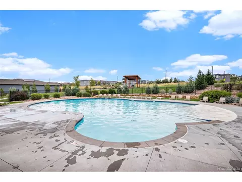 1114 Basalt Ridge Loop, Castle Rock, CO 80108 photo 47