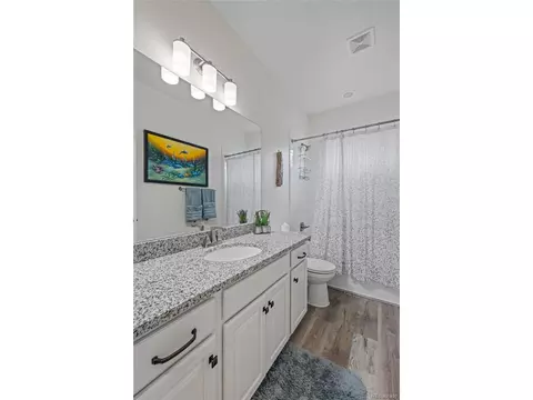 1114 Basalt Ridge Loop, Castle Rock, CO 80108 photo 23