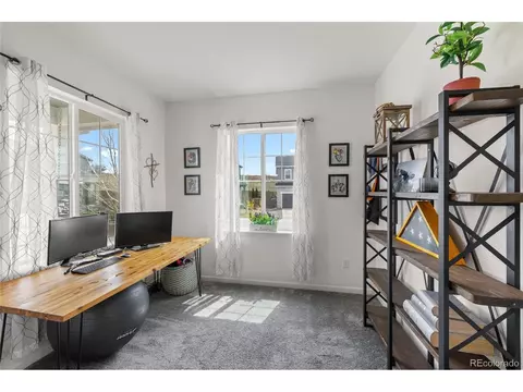 1114 Basalt Ridge Loop, Castle Rock, CO 80108 photo 14