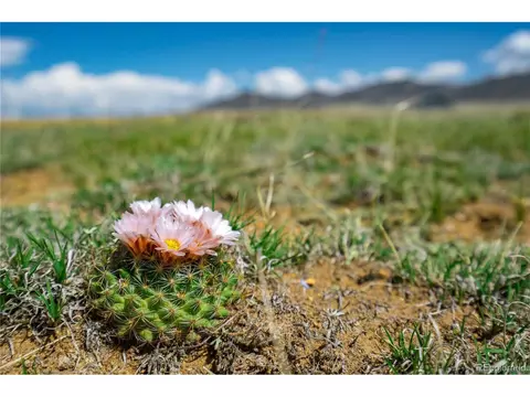 514 Chase Gulch Rd, Lake George, CO 80827