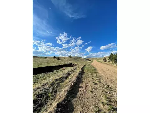 691 Cathy Dr, Hartsel, CO 80449