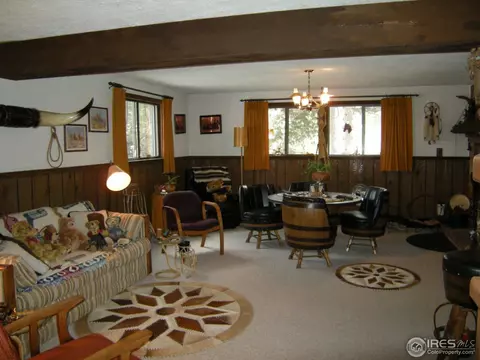 677 Deer Ln, Lyons, CO 80540 photo 14