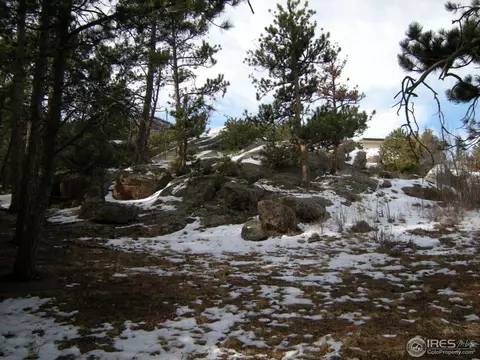677 Deer Ln, Lyons, CO 80540 photo 17
