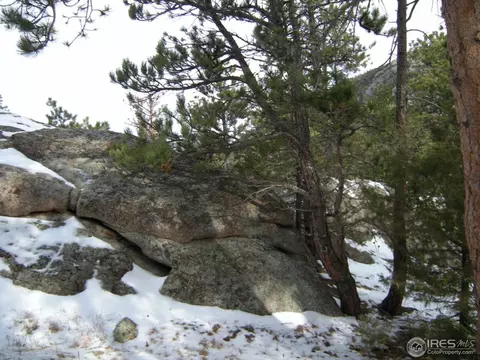 677 Deer Ln, Lyons, CO 80540 photo 18