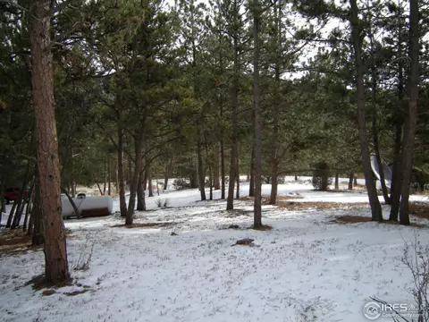 677 Deer Ln, Lyons, CO 80540 photo 9