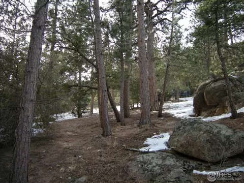 677 Deer Ln, Lyons, CO 80540 photo 5